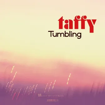 Tumbling / Boys Don't Cry by Taffy