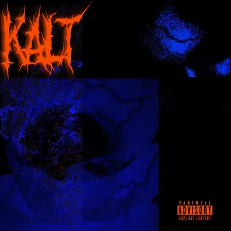 kalt by lupus