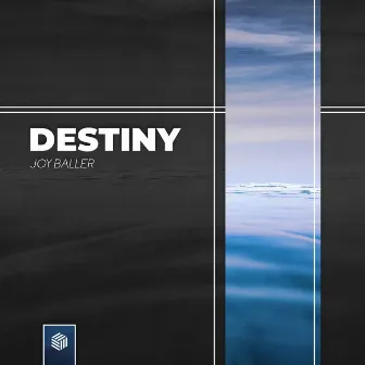 Destiny by Joy Baller