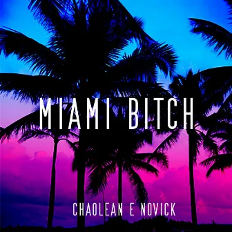 Miami Bitch by novick