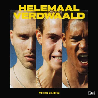 Helemaal Verdwaald by Fokke Simons