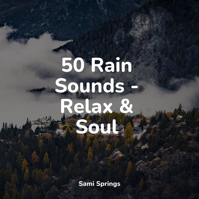 50 Rain Sounds - Relax & Soul