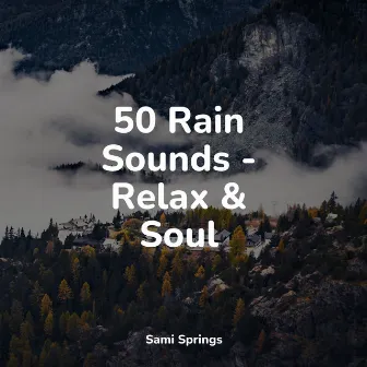 50 Rain Sounds - Relax & Soul by Soothing Nature Sounds