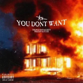 You Don't Want by Delinquent Society