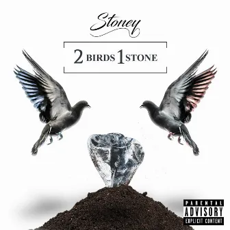 2 Birds 1 Stone by Stoney