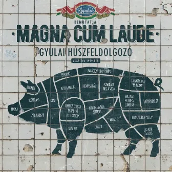 Gyulai Húszfeldolgozó by Magna Cum Laude