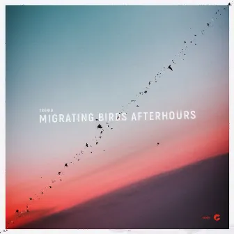 Migrating Birds Afterhours by Troniq