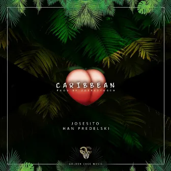 Caribbean (feat. Han Predelski) by Josesito