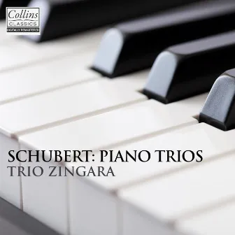 Schubert: Piano Trios by Trio Zingara