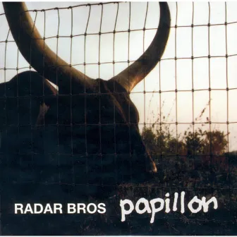 Papillon by Radar Brothers