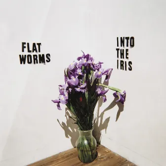 Into the Iris by Flat Worms