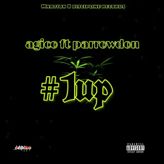 #1up by Parrowdon