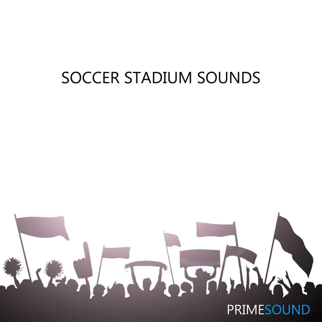 Soccer Stadium Sounds