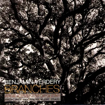 Branches by Benjamin Verdery