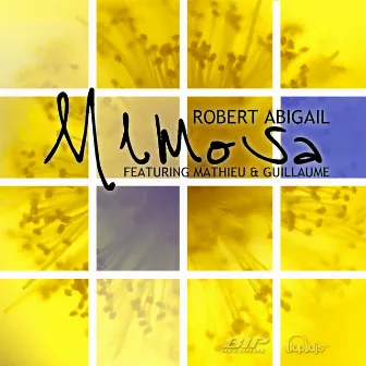 Mimosa by Robert Abigail