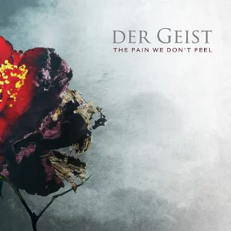 The Pain We Don't Feel by Der Geist