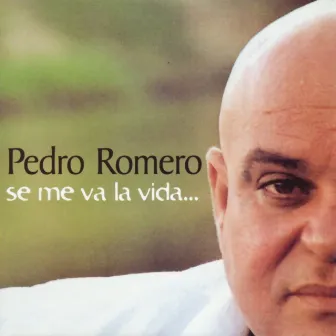 Se me va la Vida by Pedro Romero