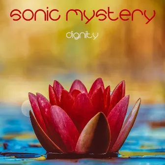 Dignity by Sonic Mystery