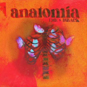 Anatomía by Isback