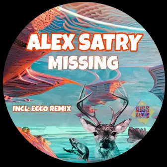 Missing by Alex Satry