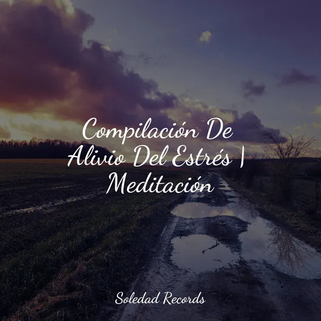 Compilación De Alivio Del Estrés | Meditación