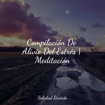 Compilación De Alivio Del Estrés | Meditación by Meditação Yoga Maestro