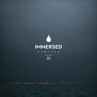 Immersed Remixed 01 by Fløa