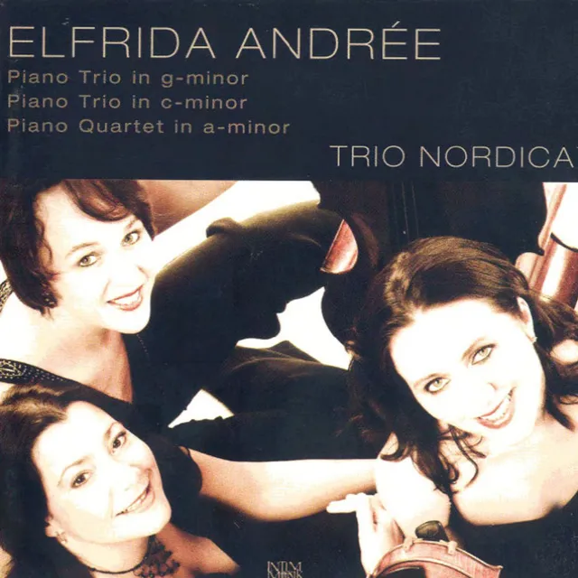 Piano Trio in C Minor: IV. Finale: Allegro con fuoco