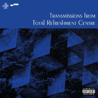 Visions (feat. Kieron Boothe) by Total Refreshment Centre