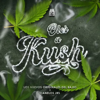 Olor A Kush by Canelos Jrs