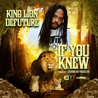 IF YOU KNEW by King Lion Defuture