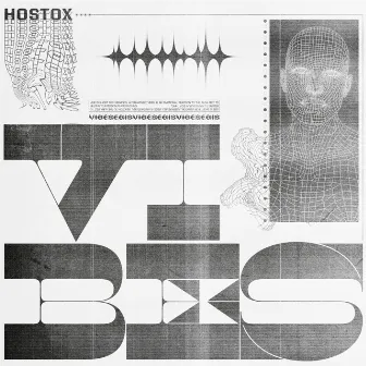 Vibes by Hostox