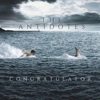 Congratulator by The Antidotes