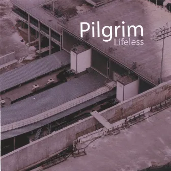 Lifeless by Pilgrim