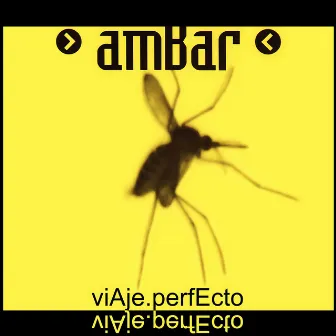 Viaje Perfecto by Ambar