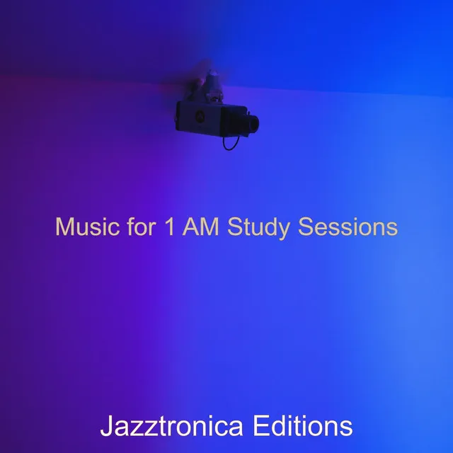 Music for 1 AM Study Sessions