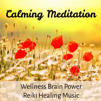 Calming Meditation - Wellness Brain Power Reiki Healing Music for Relax Life with Instrumenal Nature Sounds by Unknown Artist