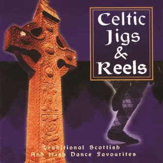 Celtic Jigs & Reels by Waxies Dargle