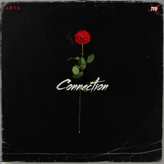 Connection by Arya