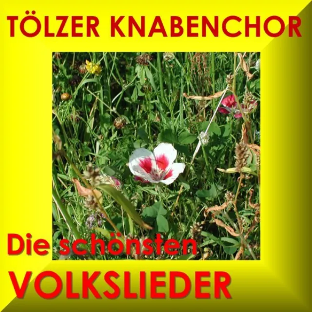 Die Schönsten Volkslieder