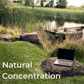 Natural Concentration by Nature Sounds Natural Music