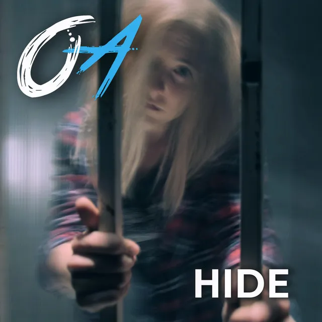 Hide