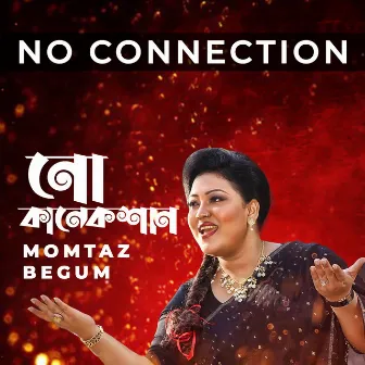 No Connection by Momtaz Begum