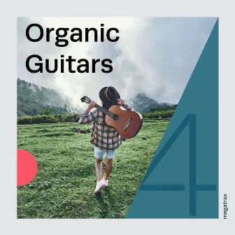 Organic Guitars, Vol. 4 by George Jeffrey Doering