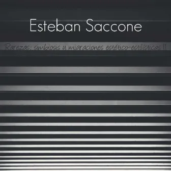 Rarezas, simbiosis y migraciones estético-estilísticas, Vol. 2 by Esteban Saccone