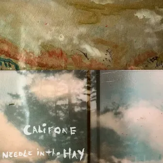 Needle in the Hay by Califone