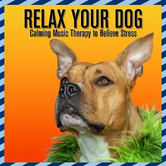 Relax Your Dog: Calming Music Therapy to Relieve Stress by Dog Music