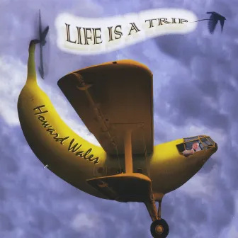 Life Is A Trip by Howard Wales