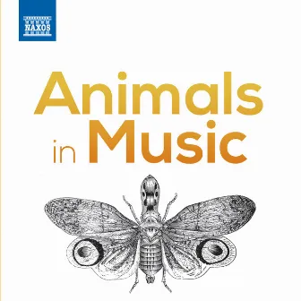 Animals in Music by Fabio Mastrangelo