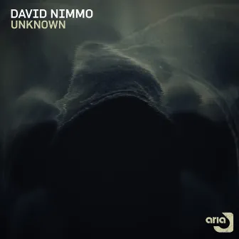 Unknown by David Nimmo